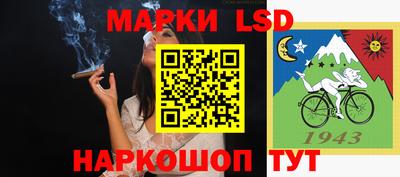 гидра Моздок